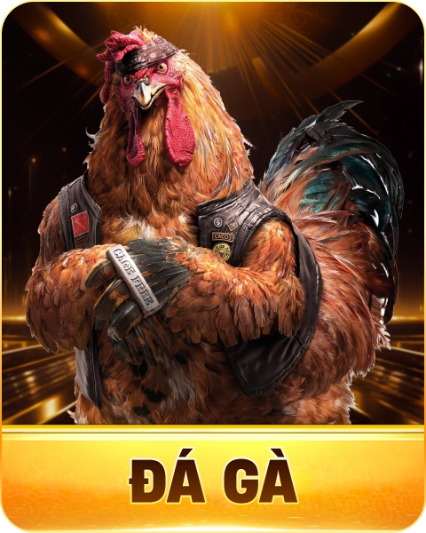 Đá gà 789WIN