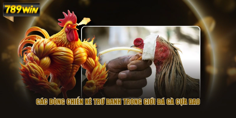 Các dòng chiến kê trứ danh trong giới đá gà cựa dao