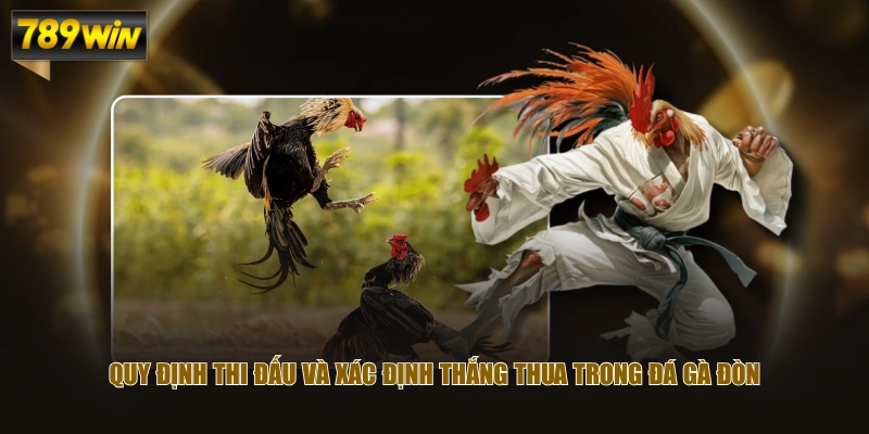Quy định thi đấu và xác định thắng thua trong đá gà đòn