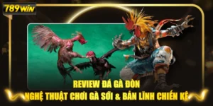 Review Đá Gà Đòn: Nghệ Thuật Chơi Gà Sới & Bản Lĩnh Chiến Kê